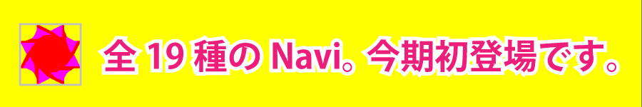 navi_19_