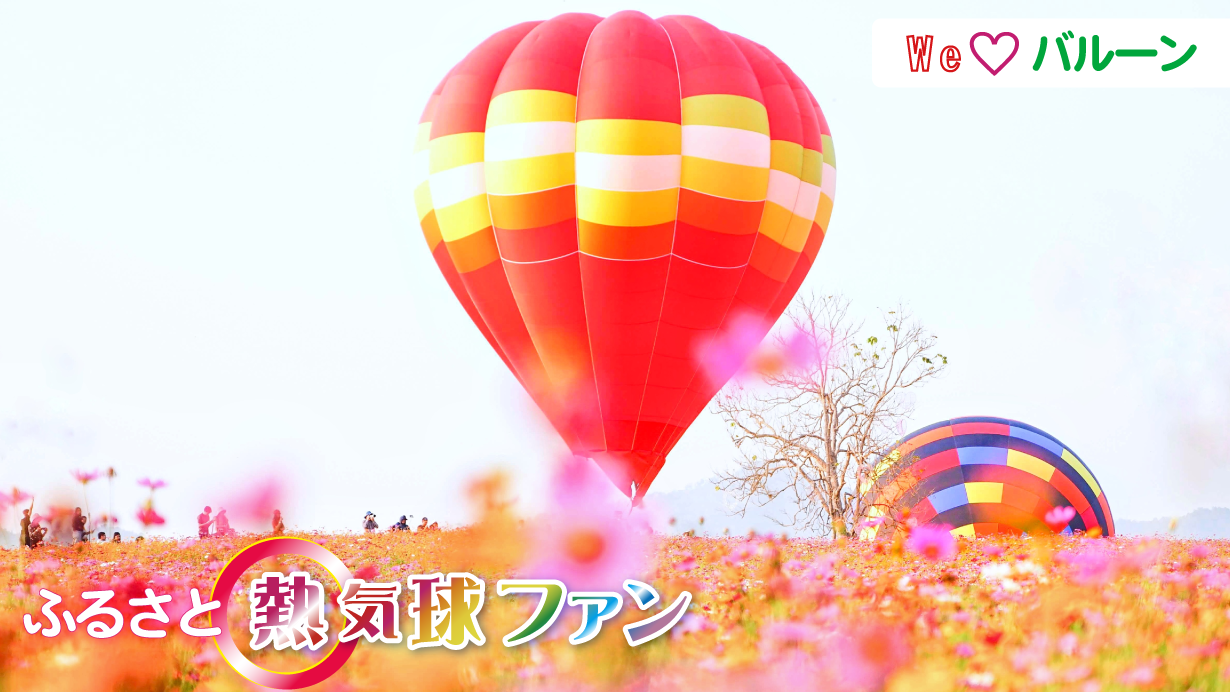�M�C���t�@��_�J�����_ �g�b�v